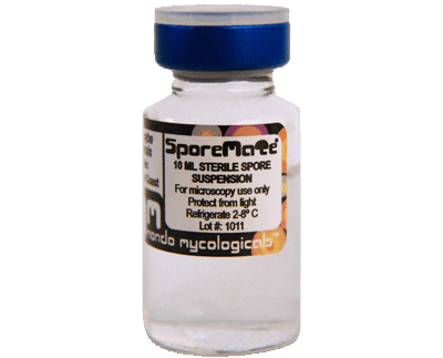 McKennaii Magic Mushroom Spores