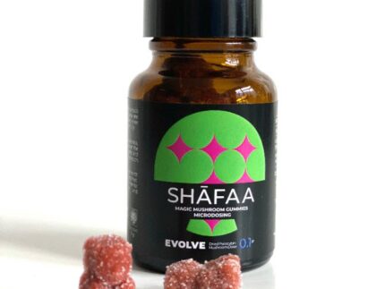 Shafaa Evolve Magic Mushroom Microdosing Gummy Bears
