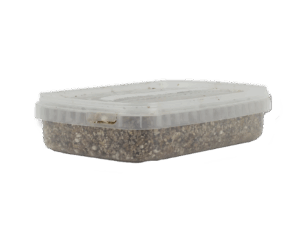 Sterile Magic Mushroom substrate for p. Cubensis Medium